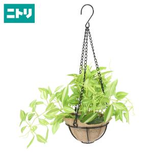 ニトリ 人工観葉 フェイクグリーン 人工観葉植物の機能 光触媒 の商品一覧 花 ガーデニング 通販 Yahoo ショッピング