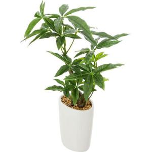 ニトリ（NITORI） フェイクグリーン(HAC222263) デコホーム : ニトリ