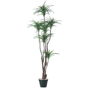 フェイクグリーン　大型　180cm 人工観葉植物 インテリア ニトリ フェイクグリーン大型180cm 人工観葉植物 インテリア ニトリ