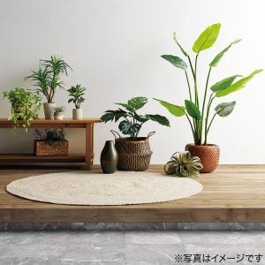 フェイクグリーン(セラミックポット ドラセナ ...の詳細画像5