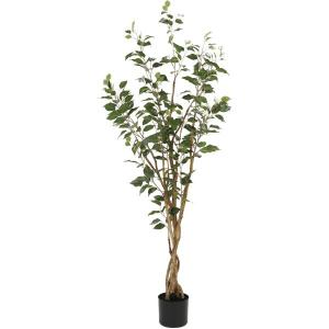 フェイクグリーン フィカス150cm(OS605-5-352) フェイクグリーン インテリアグリーン 造花 観葉植物 ニトリ