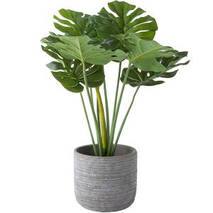 ニトリ 人工観葉 フェイクグリーン 人工観葉植物の機能 光触媒 の商品一覧 花 ガーデニング 通販 Yahoo ショッピング