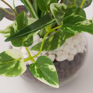 フェイクグリーン 寄せ植え ガラスポット(グリ...の詳細画像5