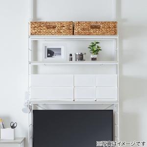 ガラスポット(ペペロミア) フェイクグリーン ...の詳細画像4