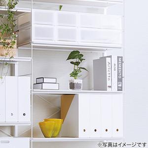 フェイクグリーン(クワズイモ ガラスポット) ニトリの詳細画像4