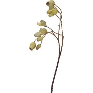 QLフラワー(カリン) フェイクグリーン インテリアグリーン 造花 観葉植物 ニトリ