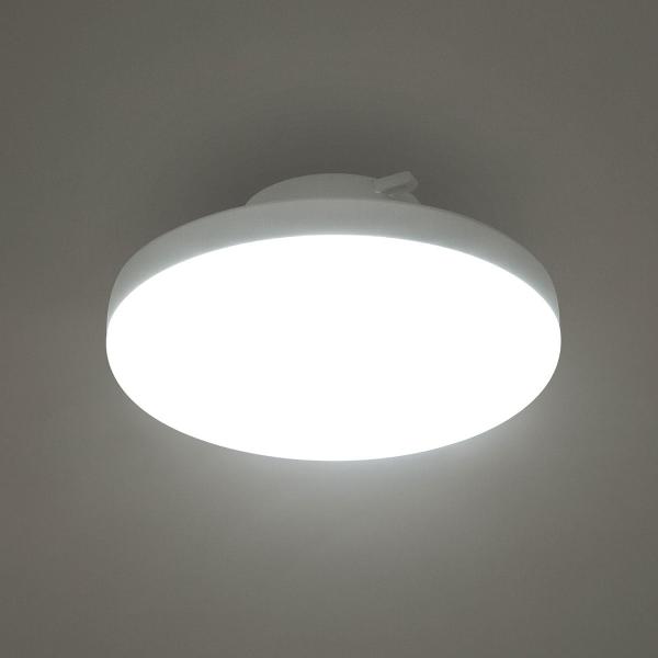 LEDミニシーリングライト 天井照明 照明器具 4.5畳　エントラ 昼光色(60D) ニトリ
