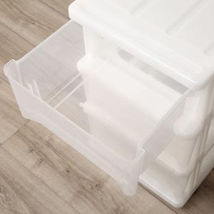 押入れ収納ケース FD(3段1列) 幅37×奥...の詳細画像5