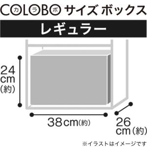 木製ボックス シャック2 レギュラー ホワイト...の詳細画像2