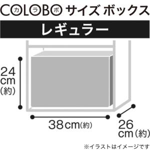 木製ボックス シャック2 レギュラー ブラック...の詳細画像2
