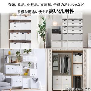 バスケット Nインボックス たて型ハーフ クリ...の詳細画像3