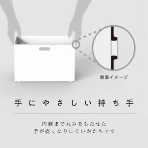 キャスター付き Nインボックス レギュラー(モ...の詳細画像5