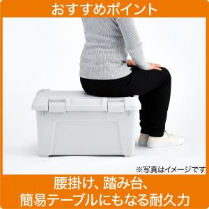 頑丈アクティブストッカー(幅60cm ライトグ...の詳細画像2