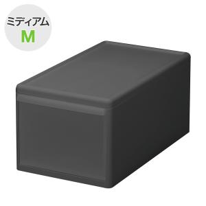 ニトリ（NITORI） 組み合わせて使える収納ケース(ミディアム Lサイズ