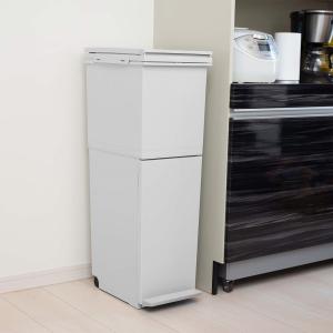 ダストボックス 2分別タイプ YY-WSB-32 ホワイト/メープル : B&W