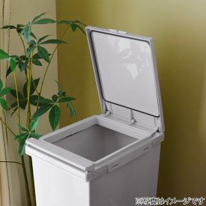 におい漏れを防ぐペダルペール(2段 38L) ...の詳細画像3