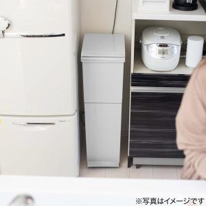 におい漏れを防ぐペダルペール(2段 38L) ...の詳細画像5