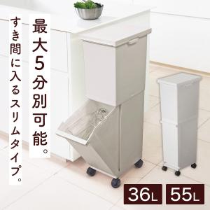 スリム分別ペール2段(55L) ゴミ箱 ごみ箱...の詳細画像1