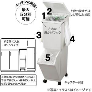 スリム分別ペール2段(55L) ゴミ箱 ごみ箱...の詳細画像3