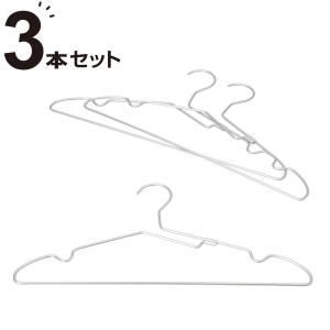 ニトリ（NITORI） オールステンレス乾きやすいドライハンガー ラプラタ