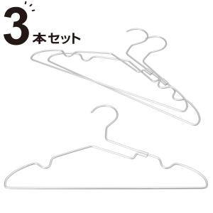 ニトリ（NITORI） スカートズボンハンガー(LM01KWH3P 3本組) : ニトリ