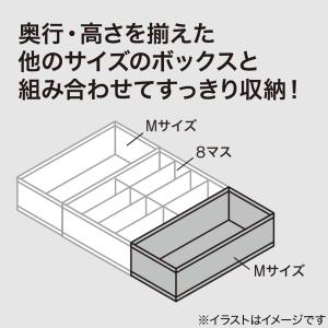引出し整理ボックス M 2個入り(RT1734...の詳細画像2