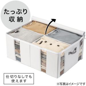透明窓付き 衣類収納ボックス(RT7050 仕...の詳細画像3