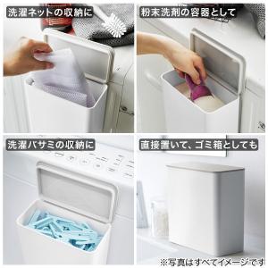 マグネット収納 洗剤ボールストッカー(FLAT...の詳細画像3