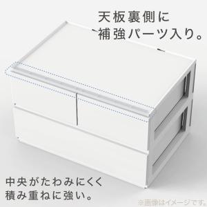 引出し Nインボックス レギュラー 2段/引出...の詳細画像2