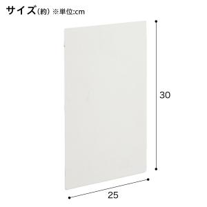 Nポルダ・Nポルダディープ用 マグネットがつけ...の詳細画像1