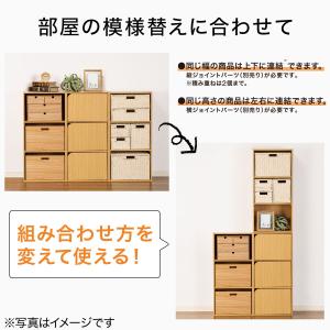 ネット特別色 連結できるNカラボ レギュラー ...の詳細画像4