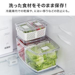 フレッシュキーパー(M) ニトリの詳細画像2