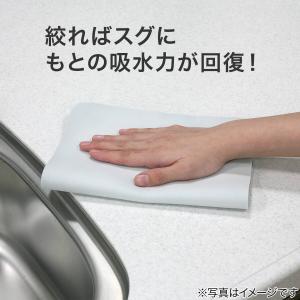超吸水スポンジマット(吸水量270mL 46×...の詳細画像2