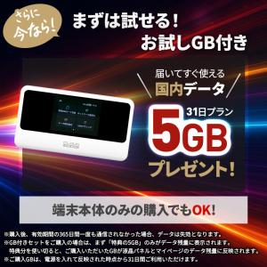チャージ式WiFi リチャージ プリペイド 海...の詳細画像2