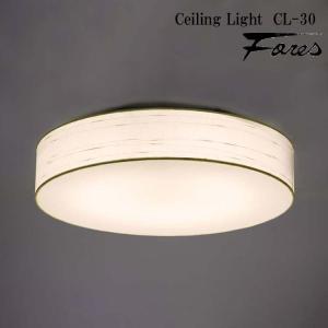 AW-0515Z-BS ARTWORKSTUDIO(アートワークスタジオ) Groove-ceiling