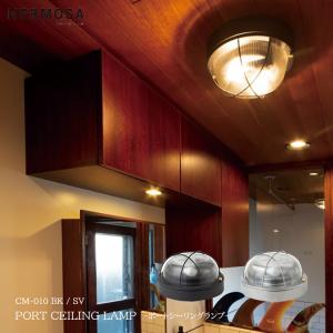 AW-0515Z-BS ARTWORKSTUDIO(アートワークスタジオ) Groove-ceiling