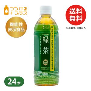 緑茶　機能性表示食品　カラダのための緑茶　500ml　24本　ペットボトル　つづけるプラス　糖吸収抑制　脂肪吸収抑制　整腸｜nitto-beverage
