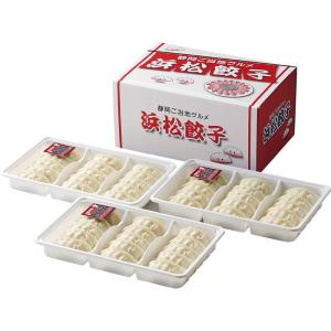 餃子 浜松餃子 冷凍 ギフト 食品 おしゃれ 浜松餃子 15粒×3 HG-30TN｜nitto-netstore