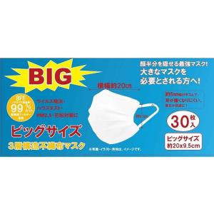 不織布マスク マスク ビッグサイズ 3層 大きい 30枚箱入　｜nitto-netstore
