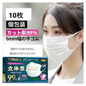 【送料無料】不織布マスク 立体 マスク 立体型 三層構造 男女兼用 BFE/PFE/VFE99% 個包装 平ゴム６ｍｍ ダブルワイヤー ホワイト 小さめサイズ 10枚 テルカ｜nitto-netstore