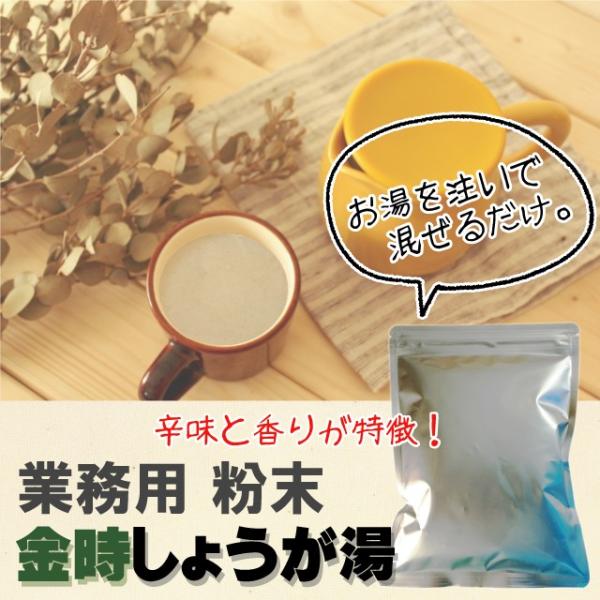 （価格リニューアル）金時しょうが湯  業務用 500g 粉末 (12)