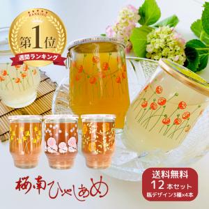 再販）ひやしあめ 180ml瓶×30本入 桜南食品 (0) 送料無料 : ニットー