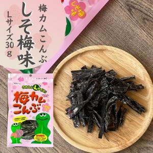 送料無料 上田昆布 梅カムこんぶ しそ梅味10g×12個 ネコポス : 御用蔵