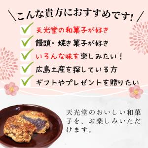 (10月再販)天光堂 和菓子 6種×1個詰め合...の詳細画像1