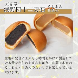 (10月再販)天光堂 和菓子 6種×1個詰め合...の詳細画像3