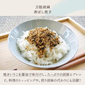 万能胡麻 香ばし煎子 25g 有限会社 瀬戸鉄...の詳細画像4