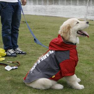 犬 服 ペットウェア   レインコート 小型犬 中型犬 ペット用