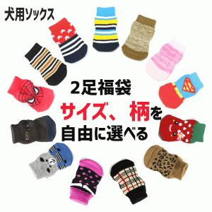 犬靴下 ソックス 2足福袋　ネコポス　くつした 滑り止め