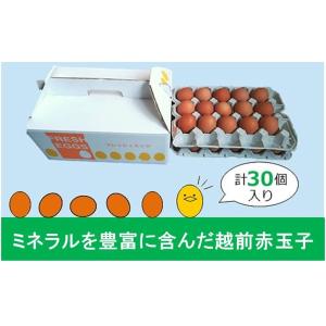 養鶏場直送♪新鮮な玉子(たまご) 卵 今日一く...の詳細画像1