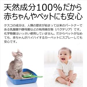 自然派消臭剤 ケスコつめかえ用 500ml 無...の詳細画像1